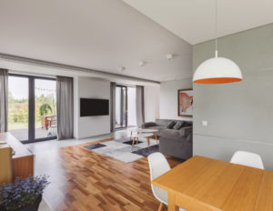 Pdt 4 - PANASONIC_LOW_STATIC_PRESSURE_HIDE_AWAY_R32 photo 1