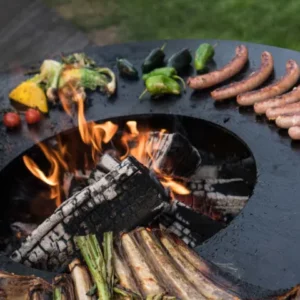 BRASERO BARBECUE PLANCHA REMUNDI à bois ou charbon de bois