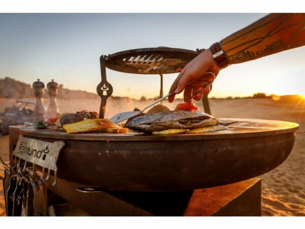 BRASERO BARBECUE PLANCHA REMUNDI à bois ou charbon de bois